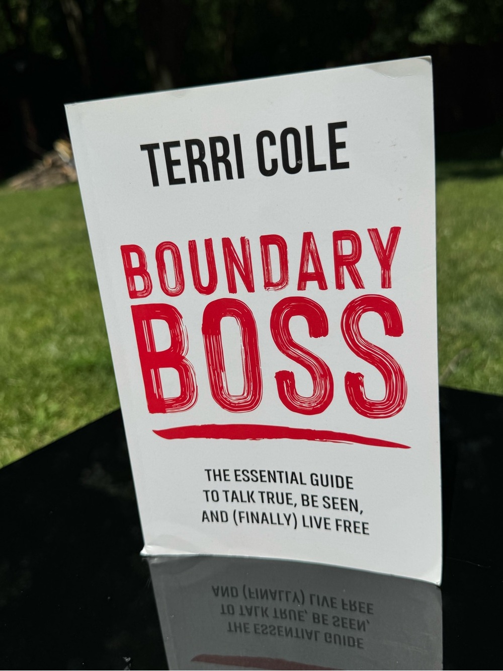 Terri Cole BOUNDARY BOSS Paperback - White & Red Cover Book